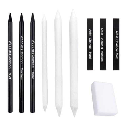 Zeichenkohle Set, Skizzier und Zeichenstifte Set, Kohlestifte für Skizzen, Kohlestifte set, Holzkohle Stick, Malset für Anfänger und Künstler, zum Malen, Skizzieren, Ausmalen, 10 Stücke von Helweet