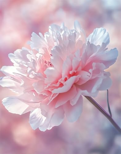 Henypt 11Ct Gestempelte Kreuzstich-Sets, Pfingstrose Blume Diy Cross Stitch Stickpackung Craft Handarbeiten Vorgedruckter Stickerei-Starter-Kit Für Anfänger Henypt 11Ct Gestempelte Kreuzstich-Sets, Pfingstrose Blume Diy Cross Stitch Stickpackung Craft Handarbeiten Vorgedruckter Stickerei-Starter-Kit Für Anfänger von Henypt