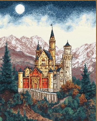 Henypt 11Ct Kreuzstich Set Vorgedruckt, Zauberschloss 40X50Cm Kreuzstich Stickpackungen Kreuzstich Stickpackungen Diy Stickerei Set Gestempelt Erwachsene Anfänger von Henypt