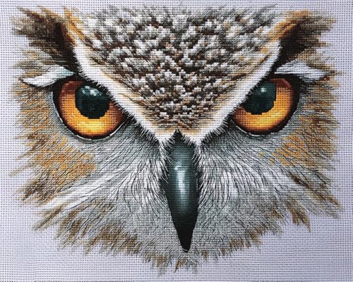 Henypt Diy Kreuzstich Perlenstickerei Set -Eulengesicht，40X50Cm Perlen-Stickset，Tier-Kreuzstich，Nadelspitze，Handarbeit，Gobelin-Set，Perlenstichmuster 3D von Henypt
