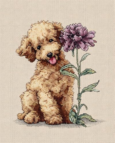 Henypt Kreuzstich-Set, 11 Karat, Gestempelt Pudel Und Blume Einfache Muster, Stickerei, Kreuzstich-Zubehör Henypt Kreuzstich-Set, 11 Karat, Gestempelt Pudel Und Blume Einfache Muster, Stickerei, Kreuzstich-Zubehör von Henypt