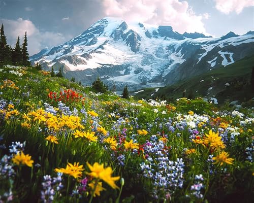 Henypt Kreuzstich Set Vorgedruckt, Blumen Und Berglandschaft 40X50Cm Stickvorlagen Stickbilder Vorgedruckt Kreuzstich Stickpackungen Stickpackung Cross Stitch Embroidery Kit Stickset Sticken Set Er von Henypt