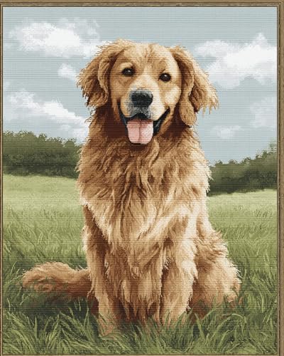 Henypt Kreuzstich Set Vorgedruckt, Golden Retriever 40X50Cm Stickvorlagen Stickbilder Vorgedruckt Kreuzstich Stickpackungen Stickpackung Cross Stitch Embroidery Kit Stickset Sticken Set Erwachsene von Henypt