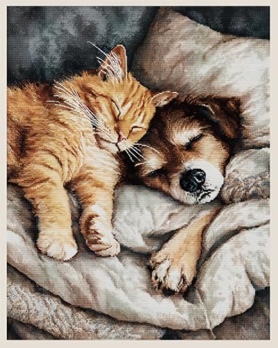Henypt Kreuzstich Set Vorgedruckt, Katze Und Hund Schlafen Auf Einer Decke 40X50Cm Stickvorlagen Stickbilder Vorgedruckt Kreuzstich Stickpackungen Stickpackung Cross Stitch Embroidery Kit Stickset von Henypt