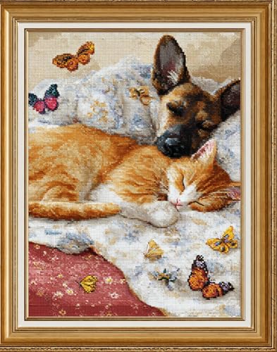Henypt Kreuzstich Set Vorgedruckt, Katze Und Hund Schlafen Auf Einer Decke 40X50Cm Stickvorlagen Stickbilder Vorgedruckt Kreuzstich Stickpackungen Stickpackung Cross Stitch Embroidery Kit Stickset von Henypt