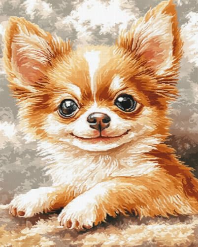 Henypt Kreuzstich Set Vorgedruckt, Lächelnder Chihuahua Stickvorlagen Stickbilder Vorgedruckt Kreuzstich Stickpackungen Stickpackung Stickbild Stickset Sticken Set Für Erwachsene 11Ct Cross Stitch Henypt Kreuzstich Set Vorgedruckt, Lächelnder Chihuahua Stickvorlagen Stickbilder Vorgedruckt Kreuzstich Stickpackungen Stickpackung Stickbild Stickset Sticken Set Für Erwachsene 11Ct Cross Stitch von Henypt