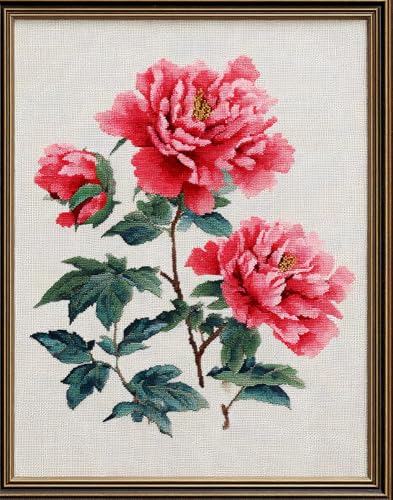 Henypt Kreuzstich Set Vorgedruckt, Stickvorlagen Stickbilder Vorgedruckt Chinesische Pfingstrose 40X50Cm Kreuzstich Stickpackungen Stickpackung Cross Stitch Embroidery Kit Stickset Sticken Set Erwa von Henypt