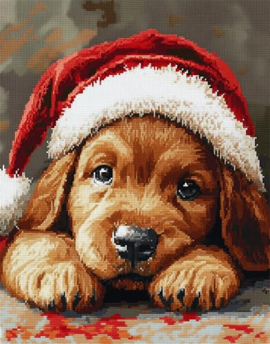 Henypt Kreuzstich Set Vorgedruckt, Welpe Mit Einer Weihnachtsmütze Stickvorlagen Stickbilder Vorgedruckt Kreuzstich Stickpackungen Stickpackung Cross Stitch Embroidery Kit Stickset Sticken Set Erwa Henypt Kreuzstich Set Vorgedruckt, Welpe Mit Einer Weihnachtsmütze Stickvorlagen Stickbilder Vorgedruckt Kreuzstich Stickpackungen Stickpackung Cross Stitch Embroidery Kit Stickset Sticken Set Erwa von Henypt