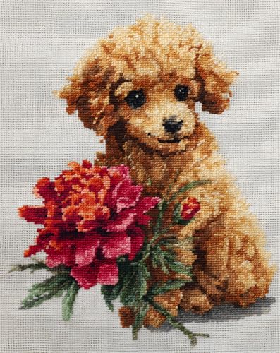 Henypt Kreuzstich Set Vorgedruckt Pudel Und Blume A Stickvorlagen Stickbilder Vorgedruckt Kreuzstich Stickpackungen Stickpackung Cross Stitch Embroidery Kit Stickset Sticken Set Erwachsene Anfänger Henypt Kreuzstich Set Vorgedruckt Pudel Und Blume A Stickvorlagen Stickbilder Vorgedruckt Kreuzstich Stickpackungen Stickpackung Cross Stitch Embroidery Kit Stickset Sticken Set Erwachsene Anfänger von Henypt