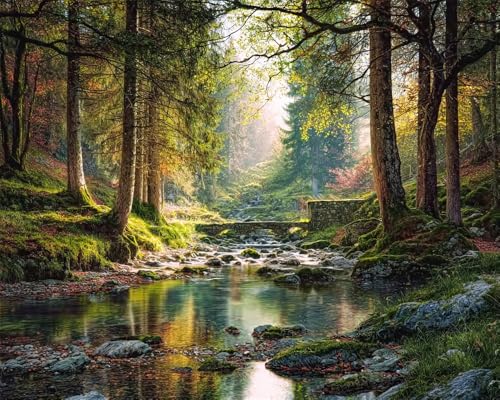 Henypt Kreuzstich Set Vorgedruckt Waldbachlandschaft 40X50Cm Stickvorlagen Stickbilder Vorgedruckt Kreuzstich Stickpackungen Stickpackung Cross Stitch Embroidery Kit Stickset Sticken Set Erwachsene von Henypt