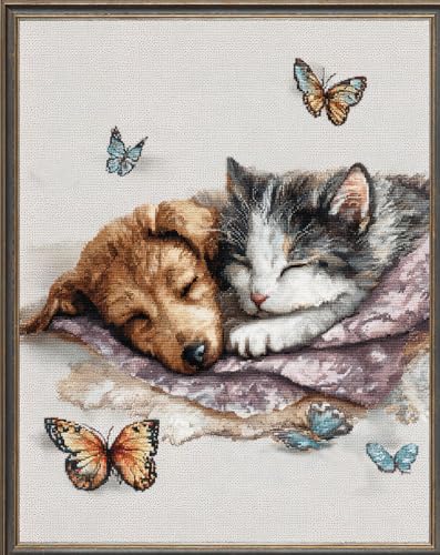 Henypt Kreuzstich Stickpackungen Erwachsene, Katze Und Hund Schlafen Auf Einer Decke 40X50Cm Stickvorlagen Vorgedruckt Kreuzstich Stickpackung Zum Sticken Starter Set Für Erwachsene Kinder Anfänger von Henypt