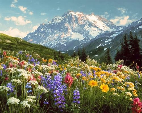 Henypt Kreuzstich Stickpackungen Vorgedruckt Set Erwachsene, Blumen Und Berglandschaft 40X50Cm Stickvorlagen Stickbilder Vorgedruckt Kreuzstich Stickpackung Sticken Stickbild Set Für Erwachsene Anf von Henypt