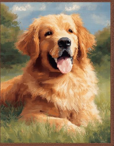 Henypt Kreuzstich Stickpackungen Vorgedruckt Set Erwachsene, Golden Retriever 40X50Cm Stickvorlagen Stickbilder Vorgedruckt Kreuzstich Stickpackung Sticken Stickbild Set Für Erwachsene Anfänger Cro von Henypt