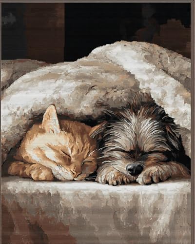 Henypt Kreuzstich Stickpackungen Vorgedruckt Set Erwachsene, Katze Und Hund Schlafen Auf Einer Decke 40X50Cm Stickvorlagen Stickbilder Vorgedruckt Kreuzstich Stickpackung Sticken Stickbild Set Für von Henypt
