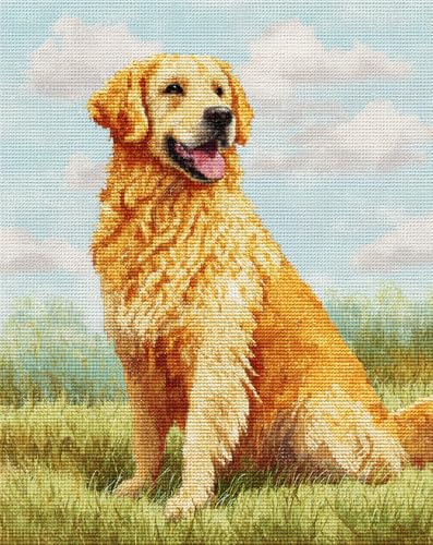 Henypt Kreuzstich Stickpackungen Vorgedruckt Set Golden Retriever 40X50Cm Stickvorlagen Stickbilder Vorgedruckt Kreuzstich Stickpackung Sticken Stickbild Set Für Erwachsene Anfänger, Cross Stitch K von Henypt