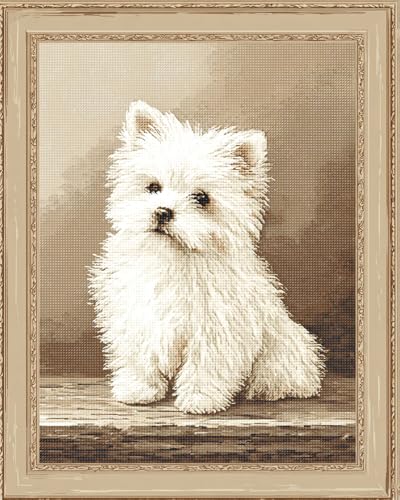 Henypt Kreuzstich Stickpackungen Vorgedruckt Set Süßer Weißer Hund 40X50Cm Stickvorlagen Stickbilder Vorgedruckt Kreuzstich Stickpackung Sticken Stickbild Set Für Erwachsene Anfänger, Cross Stitch von Henypt