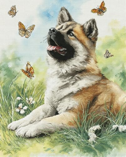 Henypt Stickerei Set Vorgedruckt Leinwand Kreuzstich Kit Stickbilder,Akita-Hund Sitzt Auf Dem Gras 40X50Cm Diy Kunst Kreuzstich Kit Stickerei Anfänger Weihnachts Geschenk Für Die Heimdekoration，11C von Henypt