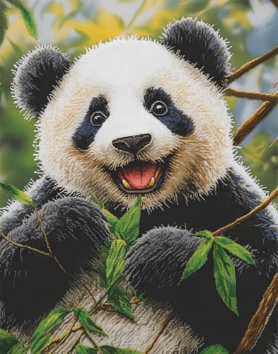 Henypt Stickpackung Kreuzstich Vorgezeichnet Panda Baumwolle Komplettes Stickset Mit Stickvorlage Stickerei-Kit Zum Selbersticken Erwachsene Henypt Stickpackung Kreuzstich Vorgezeichnet Panda Baumwolle Komplettes Stickset Mit Stickvorlage Stickerei-Kit Zum Selbersticken Erwachsene von Henypt