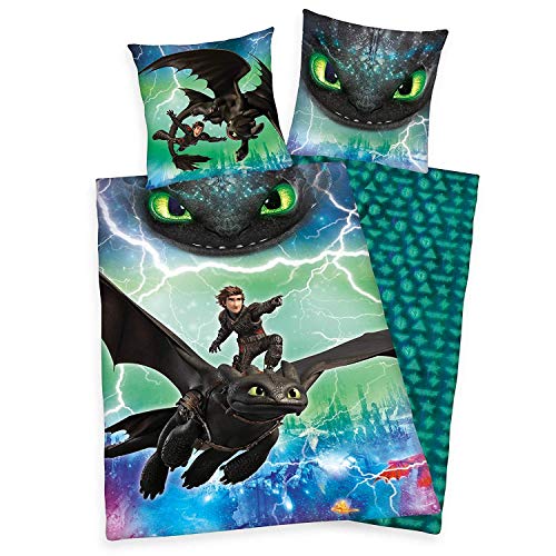 Herding DREAMWORKS DRAGONS Bettwäsche-Set, Wendemotiv, Bettbezug 135 x 200 cm, Kopfkissenbezug 80 x 80 cm, Baumwolle/Renforcé Herding DREAMWORKS DRAGONS Bettwäsche-Set, Wendemotiv, Bettbezug 135 x 200 cm, Kopfkissenbezug 80 x 80 cm, Baumwolle/Renforcé von Herding