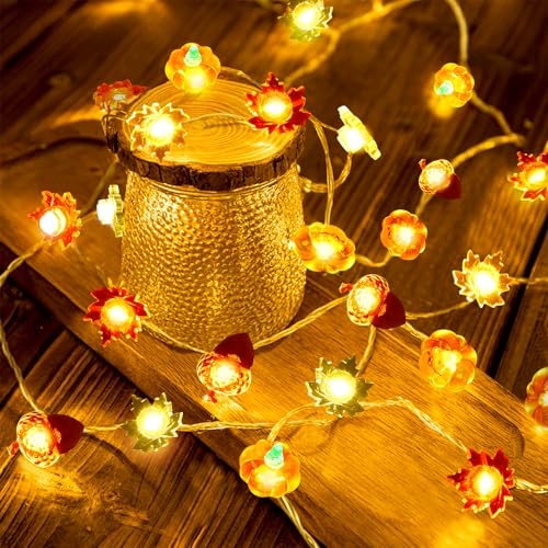 Herefun LED Lichterkette, 3M 30LED Kürbis, Eichel und Ahornblatt Lichterkette, Ramadan, Herbst, Weihnachten Lichterkette mit 8 Blinkmodi Dekoration, Für Muslim Ramadan, Heim Dekoration Party Zubehör Herefun LED Lichterkette, 3M 30LED Kürbis, Eichel und Ahornblatt Lichterkette, Ramadan, Herbst, Weihnachten Lichterkette mit 8 Blinkmodi Dekoration, Für Muslim Ramadan, Heim Dekoration Party Zubehör von Herefun