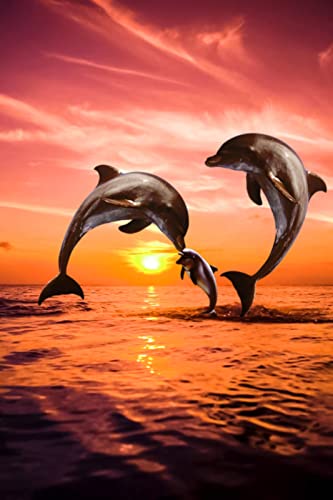 Herfair Diamond Painting Delphin, DIY 5D Diamond Painting Zubehör Sonnenuntergang Delphin, Erwachsene Haus Wanddekoration Bilder (30×40cm) von Herfair