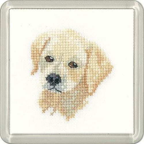 Heritage Kreuzstich Set Aida "Goldener Labrador-Welpe (A)", Zählmuster, CFGL1447-A, Coaster size 7,5x7,5cm von Heritage Crafts