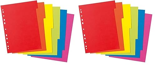 Herlitz 11078078 Kartonregister A4 aus Manilakarton, 6-teilig (Packung mit 2) von Herlitz