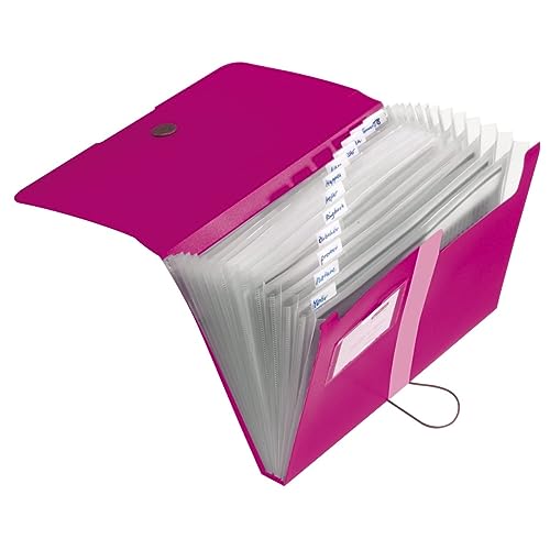 Herlitz 11217114 Fächermappe, Beere, A4 Herlitz 11217114 Fächermappe, Beere, A4 von Herlitz