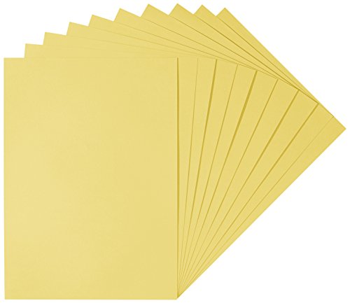 Herlitz 1949908 Tonzeichenkarton 50 x 70 cm, 10 Stück, gold Herlitz 1949908 Tonzeichenkarton 50 x 70 cm, 10 Stück, gold von Herlitz