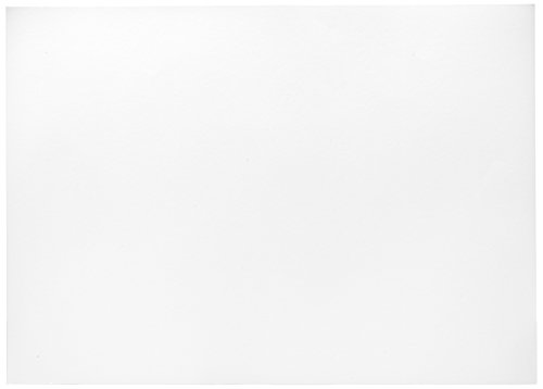 Herlitz 227108 Tonzeichenkarton 50 x 70 cm, 10 Stück, weiß von Herlitz