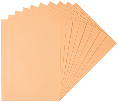 Herlitz 227280 Tonzeichenkarton 50 x 70 cm, 10 Stück, aprikose Herlitz 227280 Tonzeichenkarton 50 x 70 cm, 10 Stück, aprikose von Herlitz
