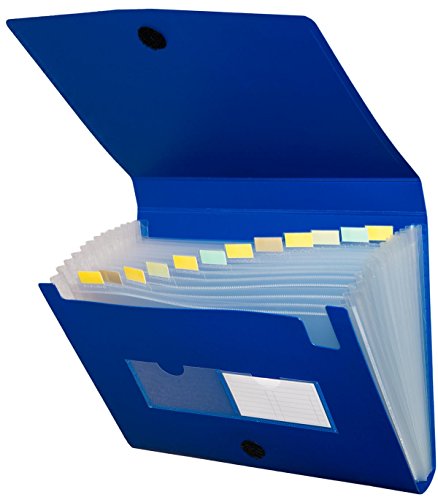Herlitz Dokumentenmappe/ Fächermappe / A4 / mit 12 Einsteckfächern / blau von Herlitz