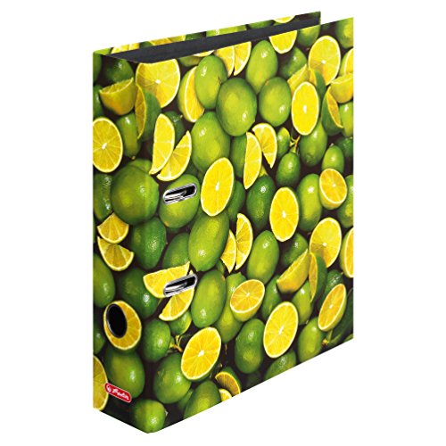Herlitz Ordner maX.file A4 8cm Limetten, 5er Spar-Set von Herlitz