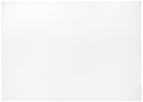 Herlitz Tonzeichenkarton 50x70 cm weiß, Plakatpapier 300 g/m², 10 Stück, 227108 Herlitz Tonzeichenkarton 50x70 cm weiß, Plakatpapier 300 g/m², 10 Stück, 227108 von Herlitz