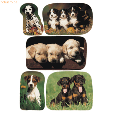 10 x HERMA Schmucketikett Decor Hundewelpenfotos VE=3 Blatt von Herma