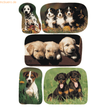 10 x HERMA Schmucketikett Decor Hundewelpenfotos VE=3 Blatt 10 x HERMA Schmucketikett Decor Hundewelpenfotos VE=3 Blatt von Herma