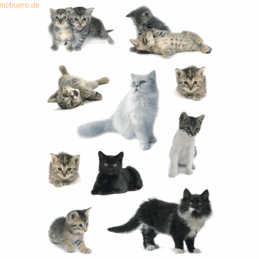 10 x HERMA Schmucketikett Decor Katzenfotos VE=20 Stück 10 x HERMA Schmucketikett Decor Katzenfotos VE=20 Stück von Herma