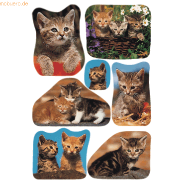 10 x HERMA Schmucketikett Decor Katzenfotos VE=3 Blatt 10 x HERMA Schmucketikett Decor Katzenfotos VE=3 Blatt von Herma