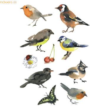 10 x HERMA Schmucketiketten Decor Aquarell Vögel VE=3 Blatt 10 x HERMA Schmucketiketten Decor Aquarell Vögel VE=3 Blatt von Herma