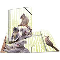 3 HERMA Sammelmappen DIN A4 Koalas 3 HERMA Sammelmappen DIN A4 Koalas von Herma