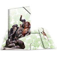 3 HERMA Sammelmappen DIN A4 Affen 3 HERMA Sammelmappen DIN A4 Affen von Herma