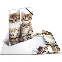 3 HERMA Sammelmappen DIN A4 Katzen 3 HERMA Sammelmappen DIN A4 Katzen von Herma