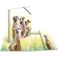 3 HERMA Sammelmappen DIN A4 Erdmännchen 3 HERMA Sammelmappen DIN A4 Erdmännchen von Herma