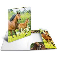 3 HERMA Sammelmappen DIN A4 Pferde 3 HERMA Sammelmappen DIN A4 Pferde von Herma