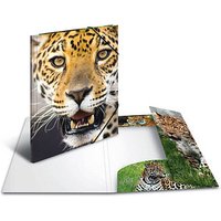 3 HERMA Zeichenmappen DIN A3 Leoparden 3 HERMA Zeichenmappen DIN A3 Leoparden von Herma