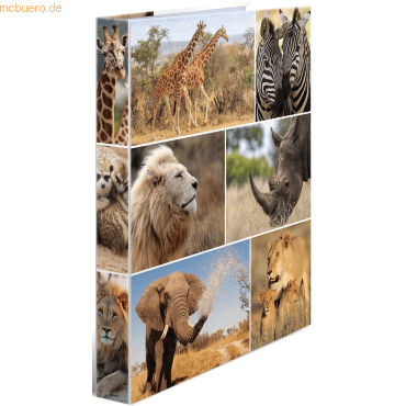 3 x HERMA Ringbuch A4 Karton 2 Ringe Afrika Tiere 3 x HERMA Ringbuch A4 Karton 2 Ringe Afrika Tiere von Herma