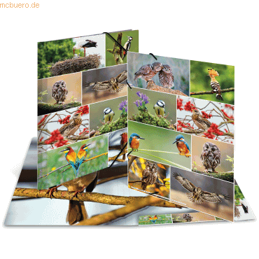 3 x HERMA Sammelmappe A3 Karton Heimatvögel 3 x HERMA Sammelmappe A3 Karton Heimatvögel von Herma