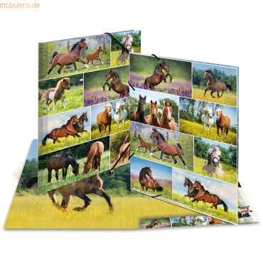 3 x HERMA Sammelmappe A3 Karton Pferdewiese 3 x HERMA Sammelmappe A3 Karton Pferdewiese von Herma