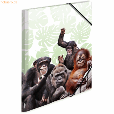 3 x HERMA Sammelmappe A3 PP Affenbande 3 x HERMA Sammelmappe A3 PP Affenbande von Herma