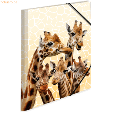 3 x HERMA Sammelmappe A3 PP Giraffenfreunde von Herma